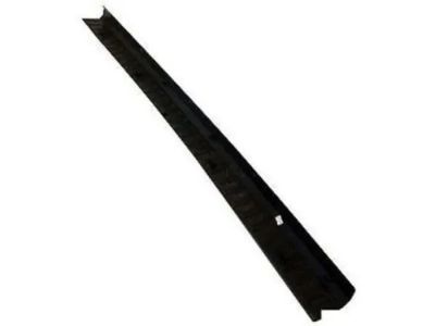 Ford JL1Z-17B807-AB Step Pad