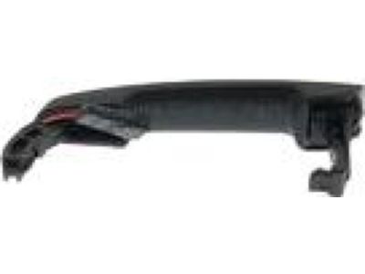 Ford DG1Z-5422404-AAPTM Handle, Outside