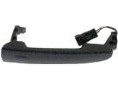 Ford DG1Z-5422404-AAPTM Handle, Outside