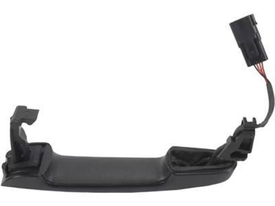 Ford DG1Z-5422404-AAPTM Handle, Outside