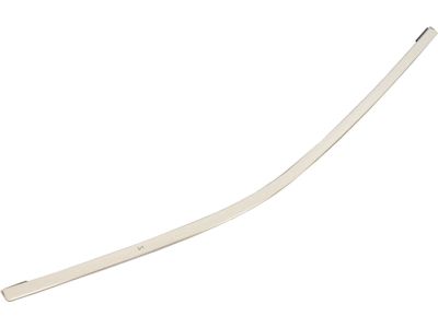 Ford AG1Z-54255A61-B Upper Molding