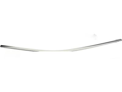 Ford AG1Z-54255A61-B Upper Molding