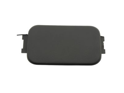 Ford F65Z-99290D90-AAA Upper Molding Plug