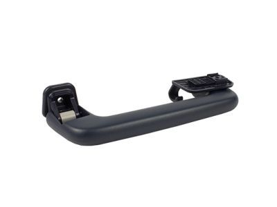 Ford DS7Z-5831406-BE Grip Handle