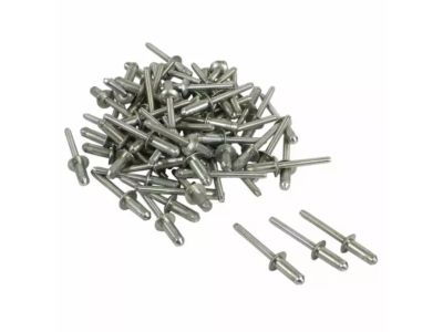 Ford -W708778-S900C Rivet - Blind