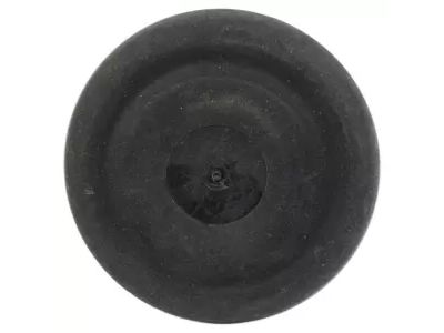 Ford -W702351-S300 Plug