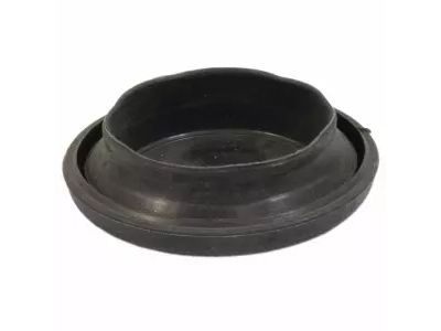 Ford -W702351-S300 Plug