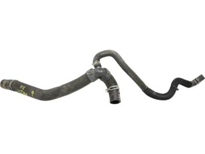 Ford DS7Z-8286-A Lower Hose