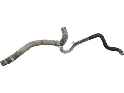 Ford DS7Z-8286-A Lower Hose