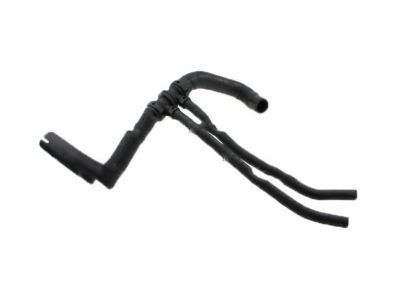 Ford F81Z-8286-BA Lower Hose