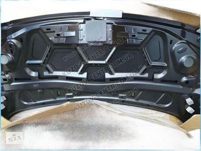 Ford DT1Z-16612-A Hood