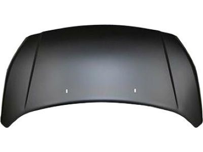 Ford DT1Z-16612-A Hood