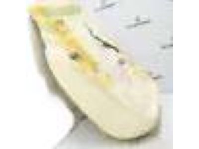 Ford FS7Z-54632A23-D Seat Cushion Pad