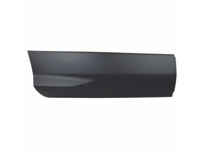Ford JJ5Z-7825556-AA Side Molding
