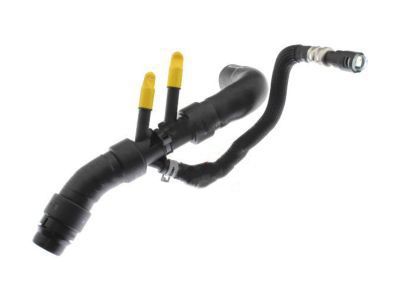 Ford DG1Z-8286-D Lower Hose