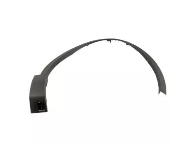 Ford FA1Z-16038-AA Wheel Opening Molding
