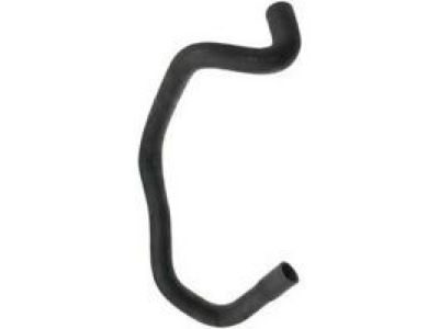 Ford F4XY-8286-A Lower Hose