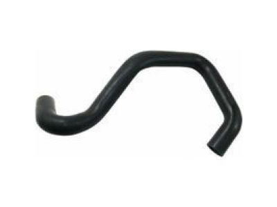 Ford F4XY-8286-A Lower Hose