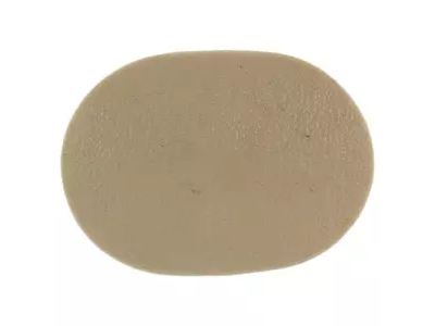 Ford FL1Z-7831458-AA Grip Handle Front Cover