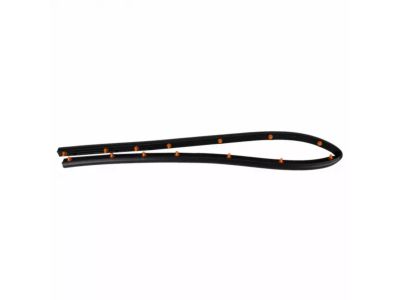Ford DG1Z-16B990-A Front Weatherstrip