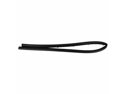 Ford DG1Z-16B990-A Front Weatherstrip