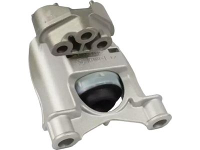Ford G1FZ-6038-A Mount