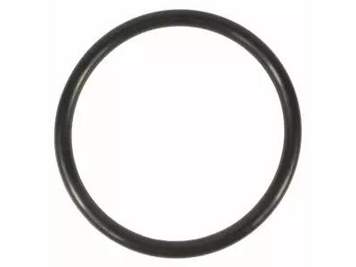 Ford BC3Z-00815-B Thermostat O-Ring