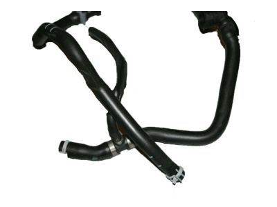 Ford DV6Z-8075-B Reservoir Hose