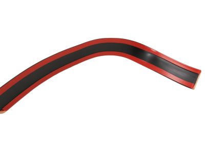 Ford YL3Z-1620878-APTM Body Side Molding