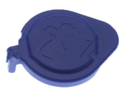 Ford FT4Z-17632-A Reservoir Cap