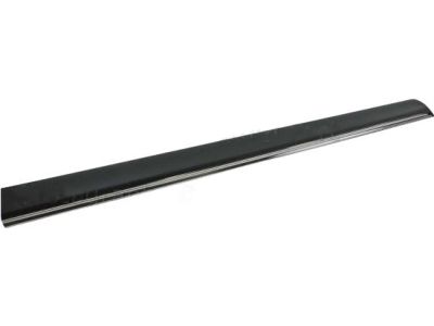 Ford 8A5Z-5420879-AA Lower Molding