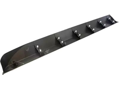 Ford 8A5Z-5420879-AA Lower Molding