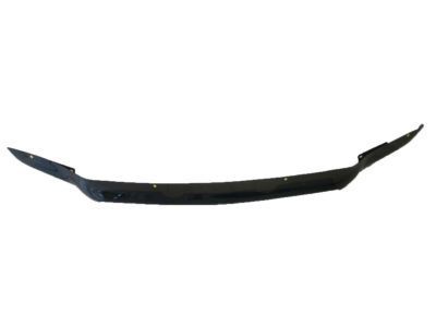 Ford F81Z-16C900-BA Deflector