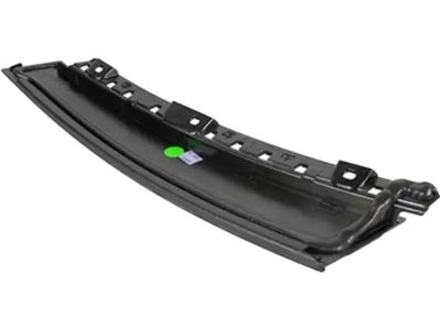 Ford FT4Z-5820555-C Applique