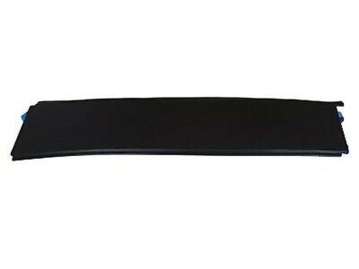 Ford 6L3Z-16255A35-AA Upper Molding