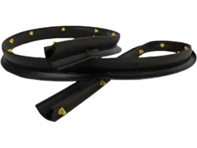 Ford JL1Z-7820758-A Lower Weatherstrip