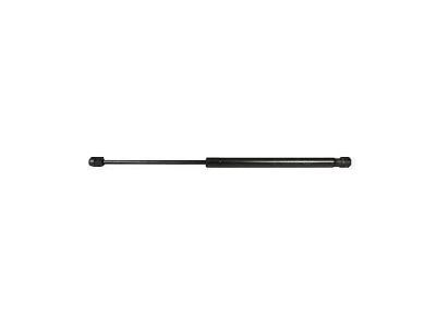 Ford 8L8Z-7842105-A Window Lift Cylinder