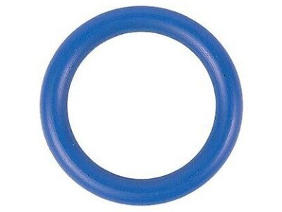Ford FT4Z-6N652-E Outlet Tube Gasket