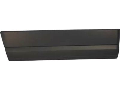 Ford 7L1Z-4025556-APTM Cladding