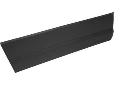 Ford 7L1Z-4025556-APTM Cladding