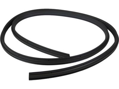 Ford 8L5Z-1020708-A Weatherstrip On Body