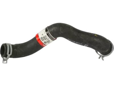 Ford C1BZ-8260-A Upper Hose