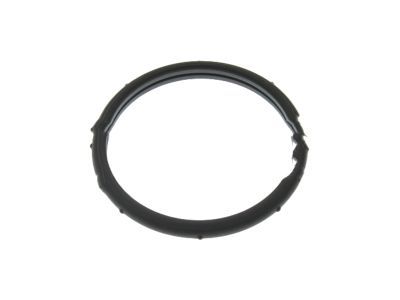 Ford HL3Z-8255-A Thermostat O-Ring