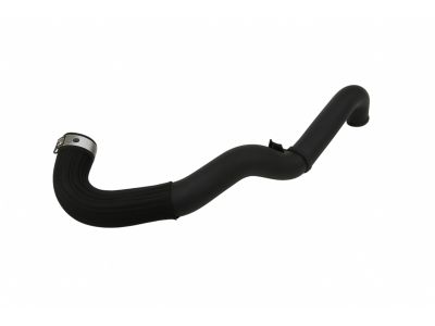 Ford JC3Z-8286-A Lower Hose