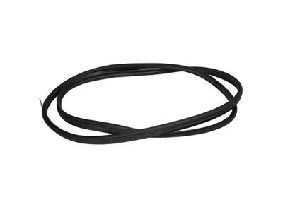 Ford CV6Z-5843720-A Weatherstrip