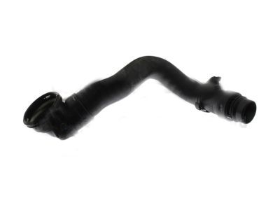 Ford BC3Z-8286-E Lower Hose