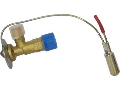Ford F4UZ-19849-A Expansion Valve