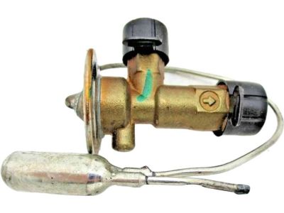 Ford F4UZ-19849-A Expansion Valve