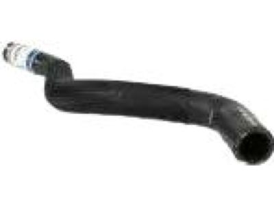 Ford CT4Z-8C289-A Reservoir Hose