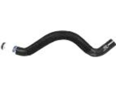 Ford CT4Z-8C289-A Reservoir Hose